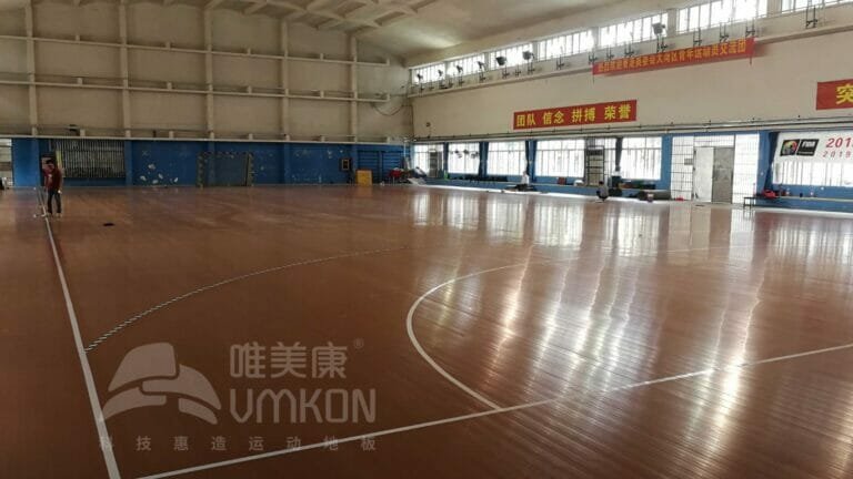 Indoor Handball Courts by vmkon