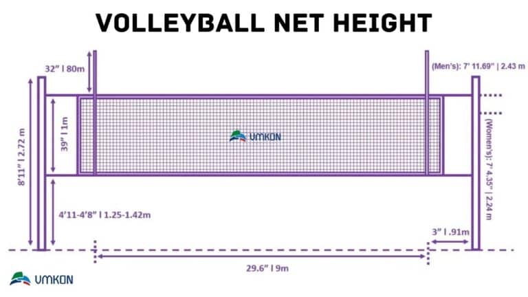 Volleyball Net Height Everything You Need To Know VMKONSPORT