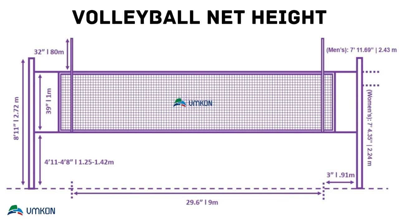 Beach Volleyball Court Size In Feet Infoupdate