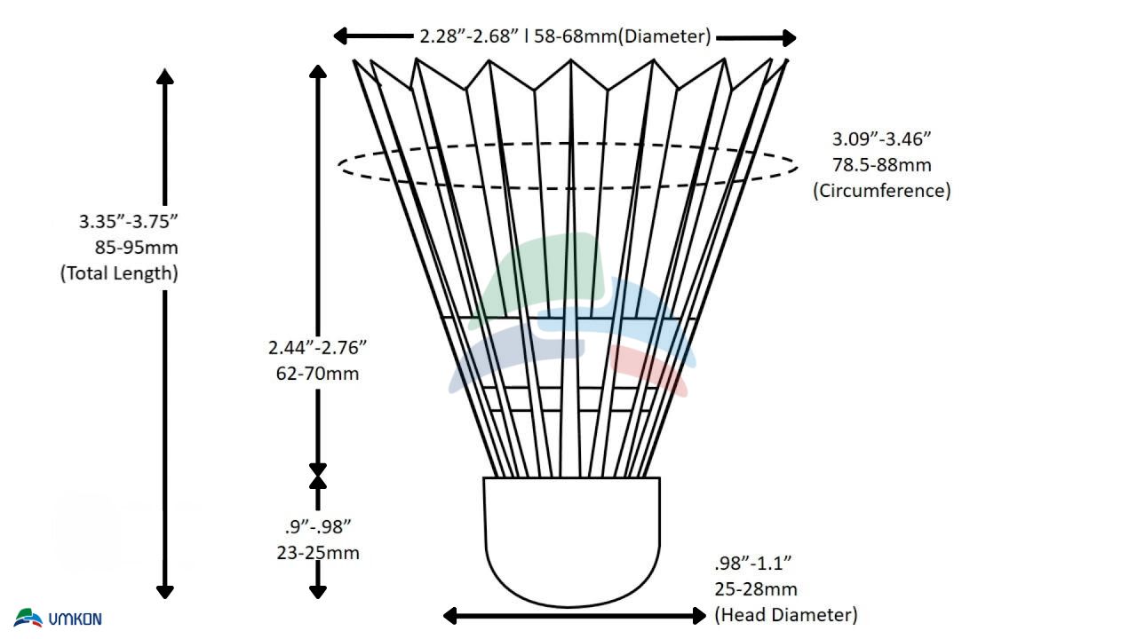 Everything You Need To Know About Badminton Court Dimensions - VMKONSPORT