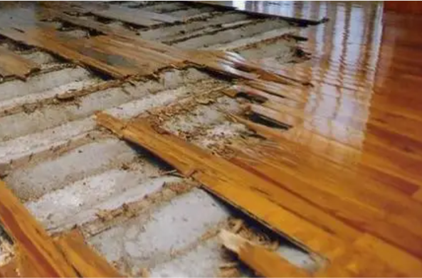 Peligro de termitas en suelos de madera