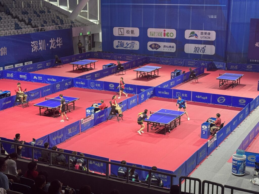 Table Tennis Sports Flooring