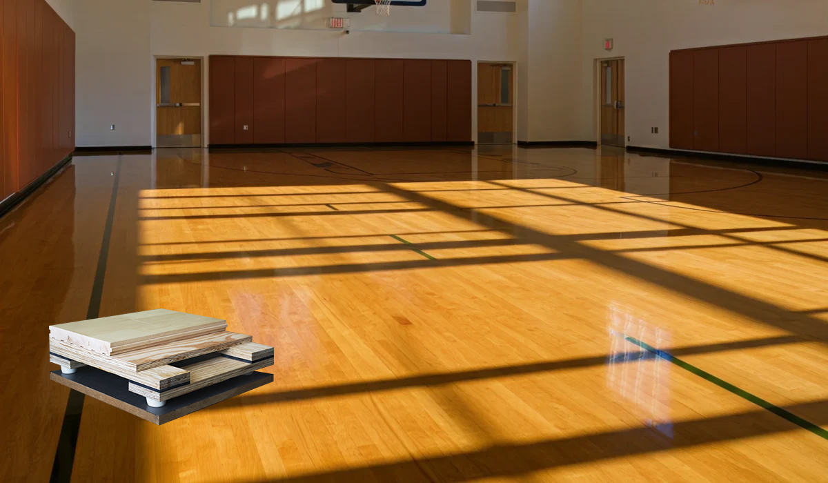 Polished hardwood sports court flooring in an indoor gymnasium with material sample overlay