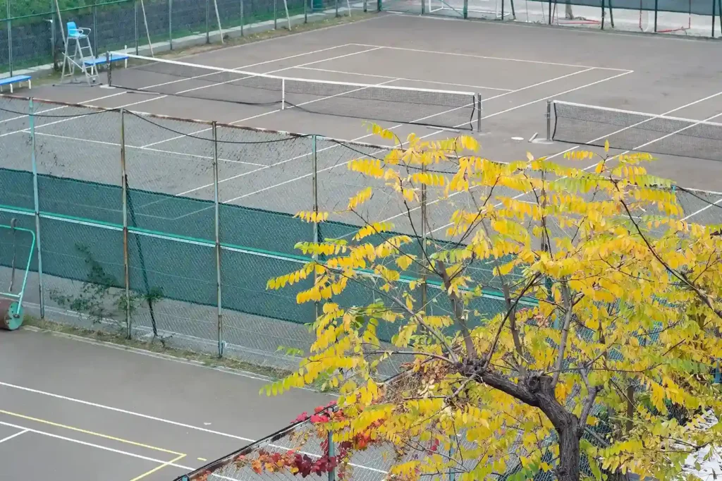 close up yellow flowers 11zon 11zon