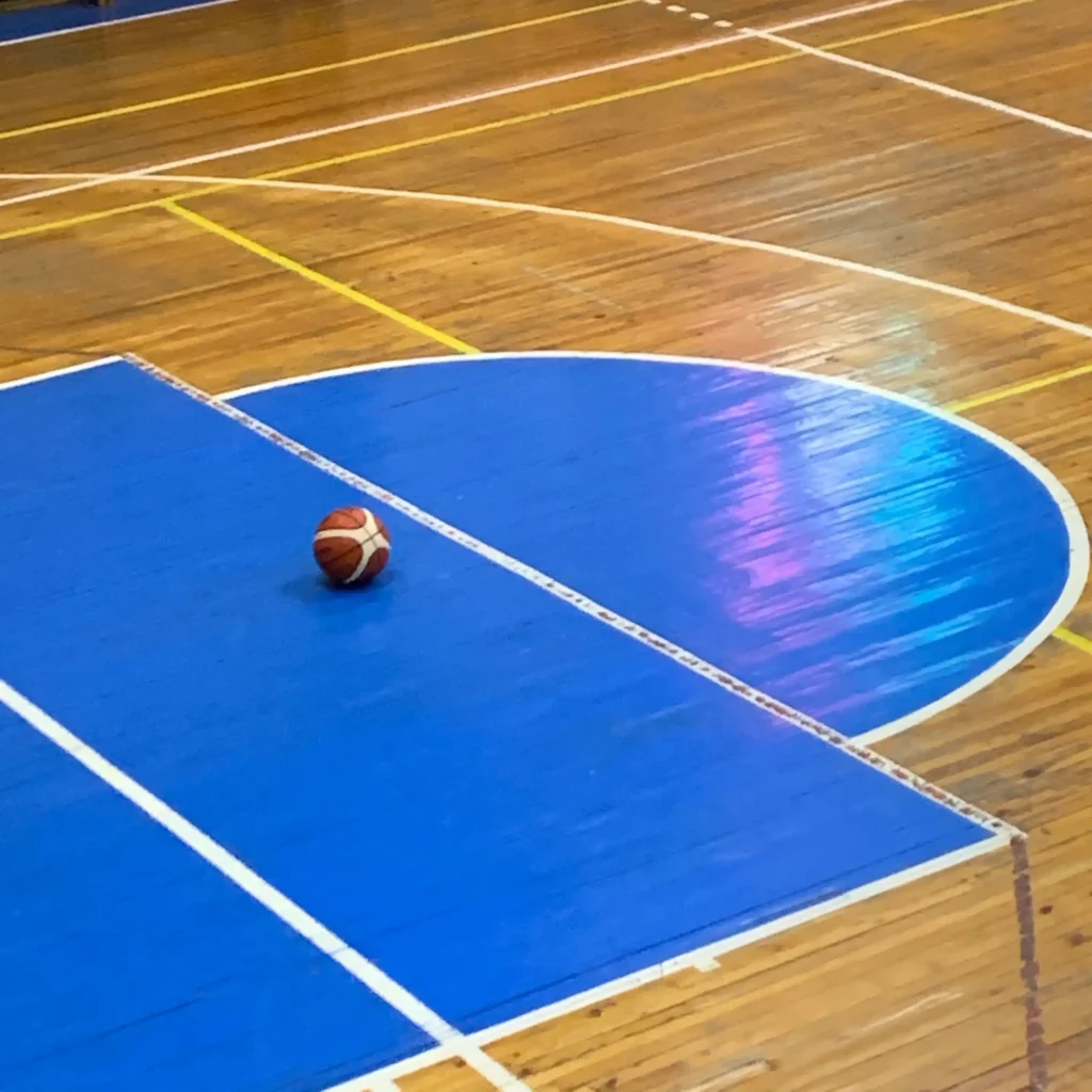 Professional Sports Flooring Systems