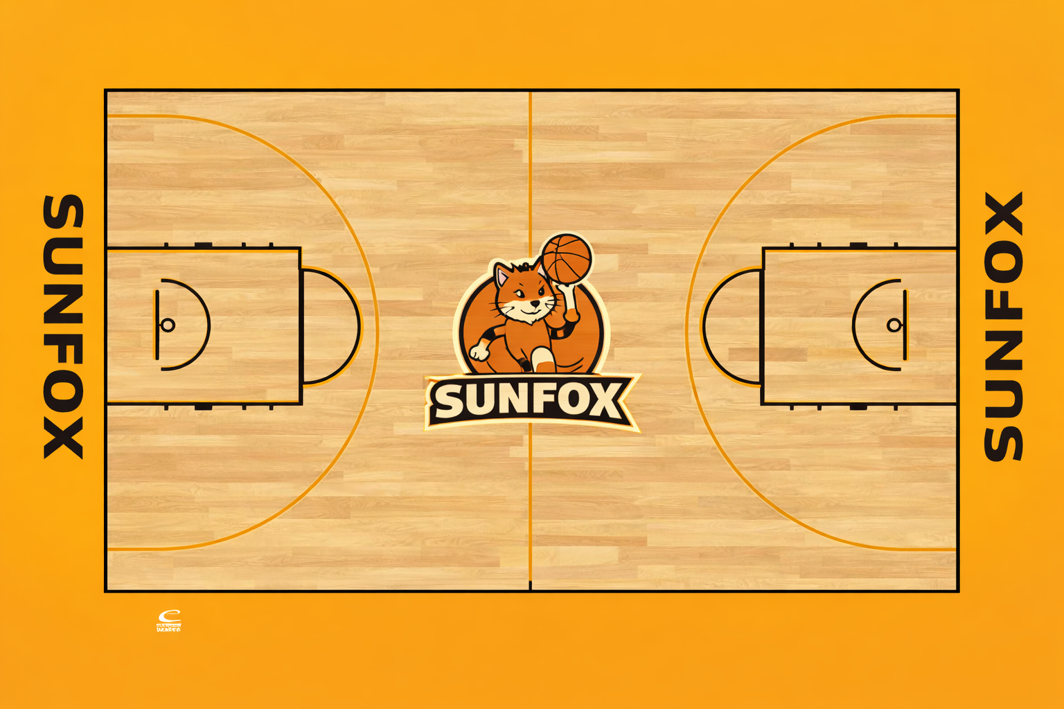 标准颜色分区运动球场效果图